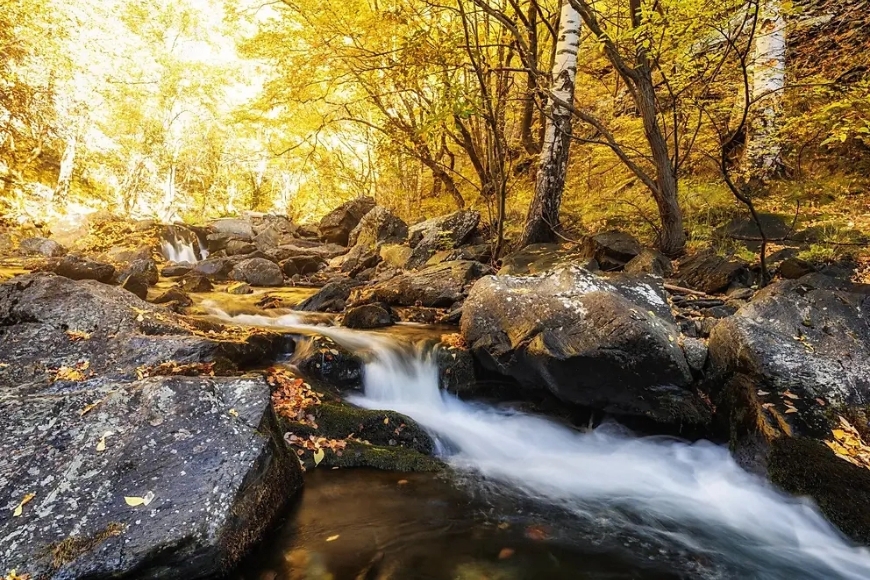 Старая река в Национальном парке Болгарии